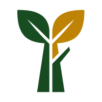 Escondido Tree Service